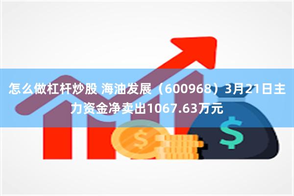 怎么做杠杆炒股 海油发展（600968）3月21日主力资金净卖出1067.63万元