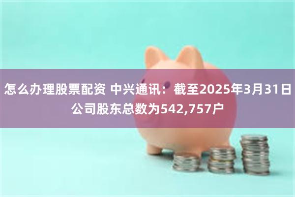 怎么办理股票配资 中兴通讯：截至2025年3月31日公司股东总数为542,757户