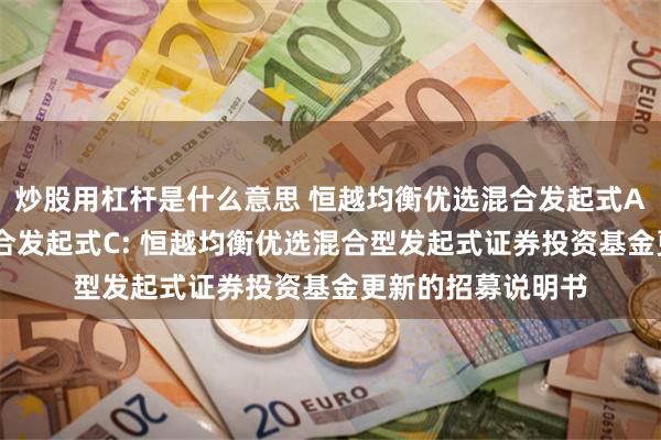 炒股用杠杆是什么意思 恒越均衡优选混合发起式A,恒越均衡优选混合发起式C: 恒越均衡优选混合型发起式证券投资基金更新的招募说明书
