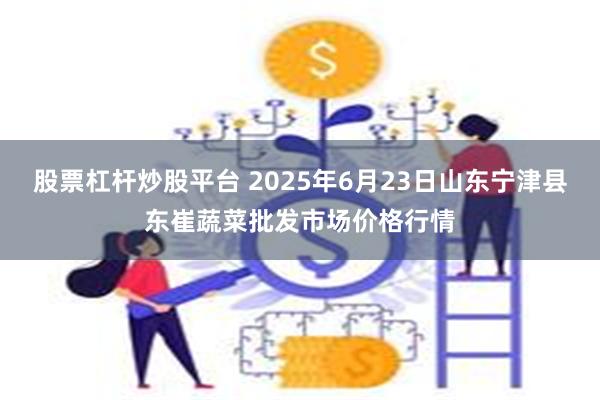 股票杠杆炒股平台 2025年6月23日山东宁津县东崔蔬菜批发市场价格行情
