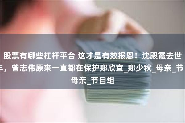 股票有哪些杠杆平台 这才是有效报恩！沈殿霞去世17年，曾志伟原来一直都在保护郑欣宜_郑少秋_母亲_节目组