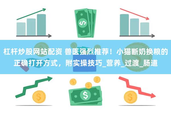 杠杆炒股网站配资 兽医强烈推荐！小猫断奶换粮的正确打开方式，附实操技巧_营养_过渡_肠道