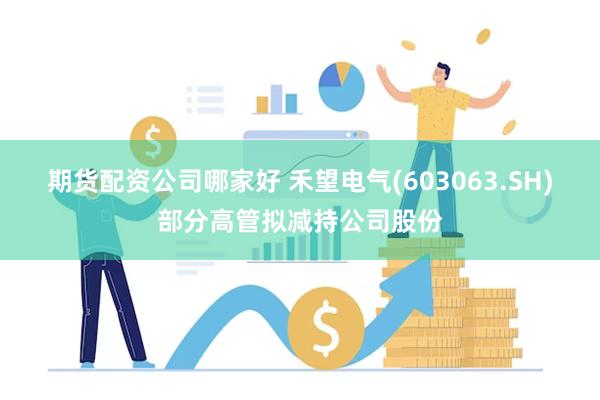 期货配资公司哪家好 禾望电气(603063.SH)部分高管拟减持公司股份