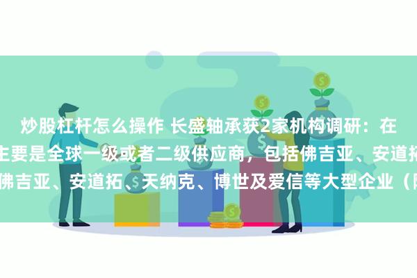 炒股杠杆怎么操作 长盛轴承获2家机构调研：在汽车行业，公司的客户主要是全球一级或者二级供应商，包括佛吉亚、安道拓、天纳克、博世及爱信等大型企业（附调研问答）