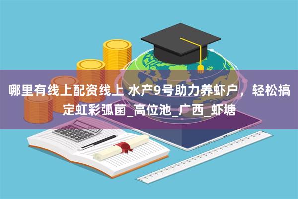 哪里有线上配资线上 水产9号助力养虾户，轻松搞定虹彩弧菌_高位池_广西_虾塘